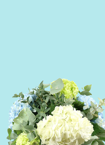 Same day Flowers Belmont